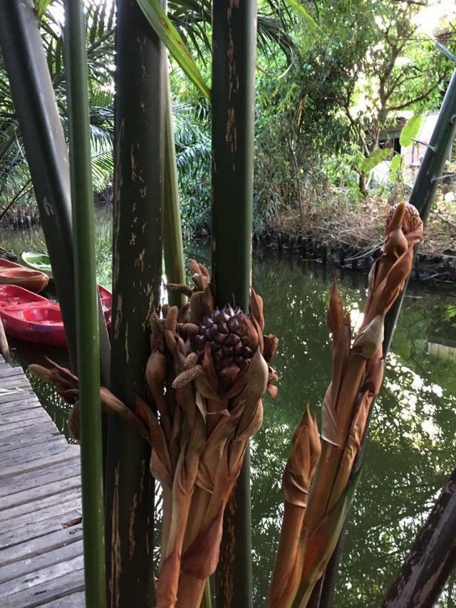 Готель Baan Glangsuan Bang Kobua Bang Chak Екстер'єр фото